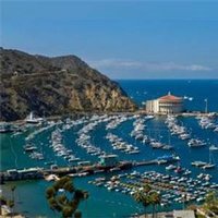 Welcome to Catalina Island