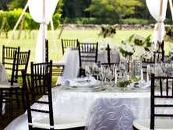 Carolyn's Sakonnet Vineyard