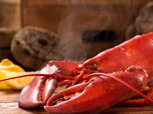 A delicious freshly steamed lobster in the rough.