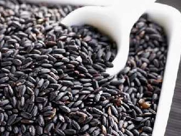 Forbidden Rice aka Black Rice