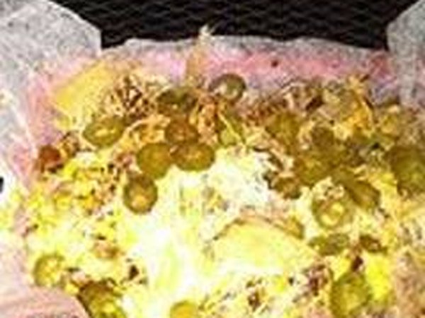 BBQ Nachos