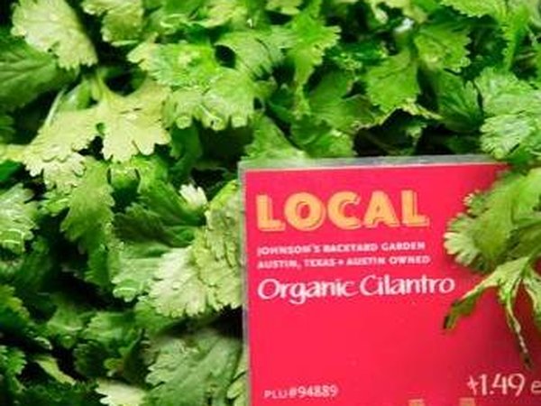 JBGCilantro_WholeFoods01