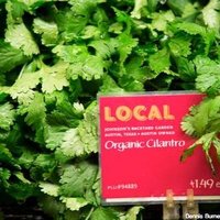 JBGCilantro_WholeFoods01