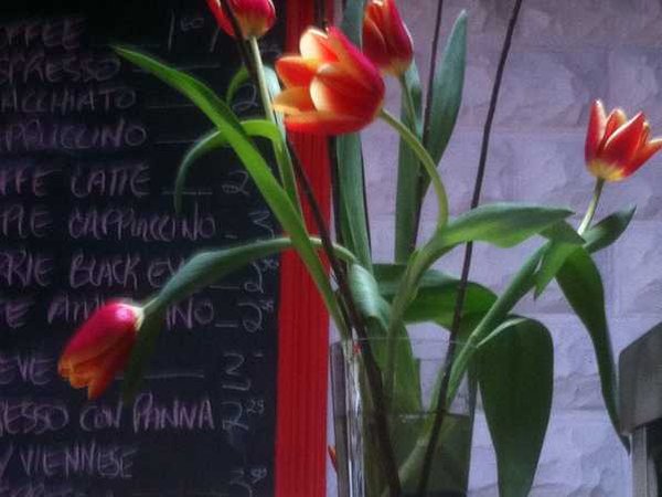"There is room in the garden for all flowers." So says the chalkboard sign below.