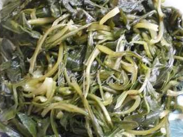 Stamnagathi as a salad