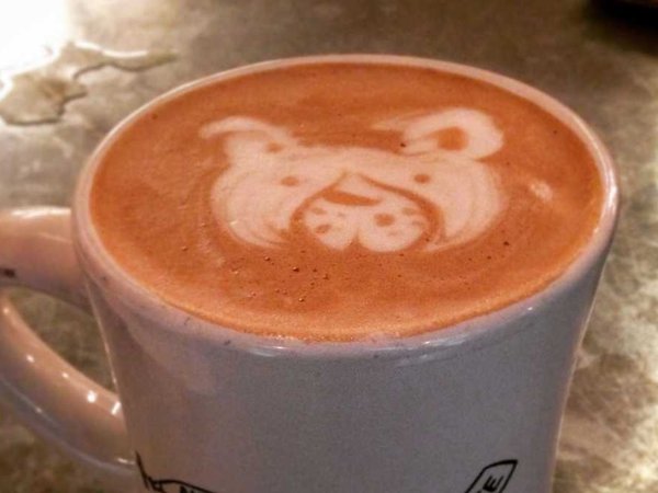 Hot chocolate with dog latte art!