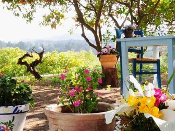 La Paloma outdoor seating